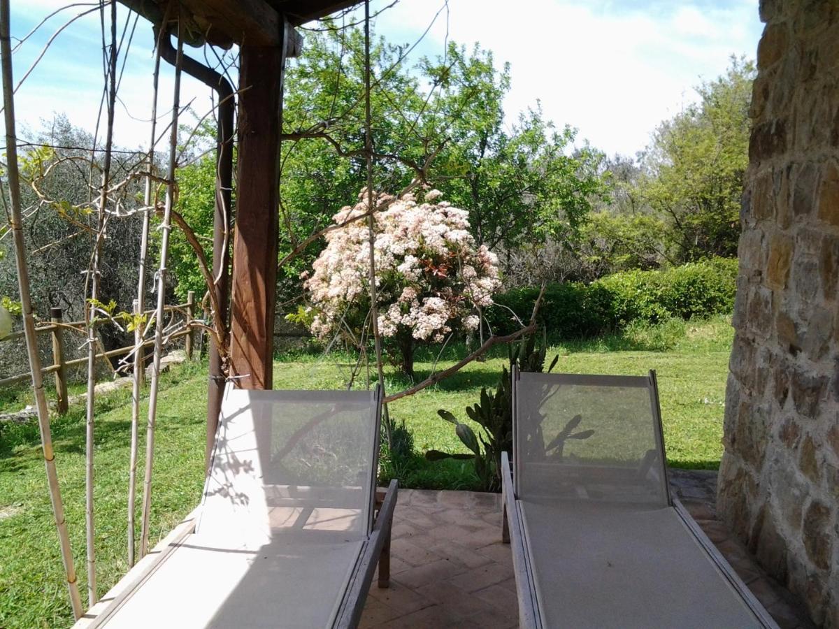 Agriturismo Casa Fibbianello Semproniano Zewnętrze zdjęcie