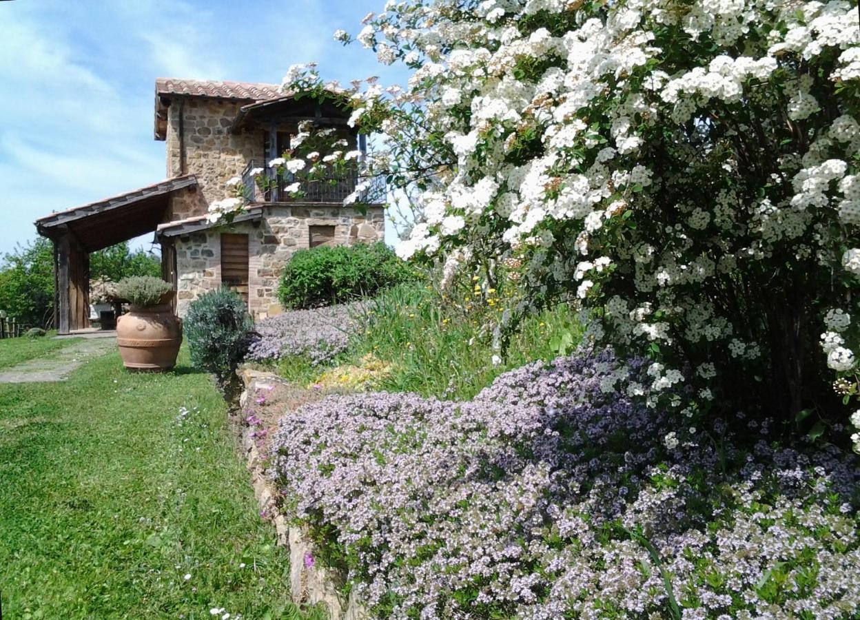 Agriturismo Casa Fibbianello Semproniano Zewnętrze zdjęcie
