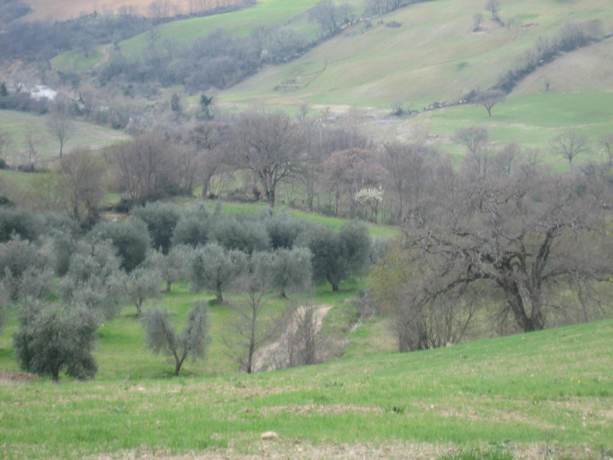 Agriturismo Casa Fibbianello Semproniano Zewnętrze zdjęcie
