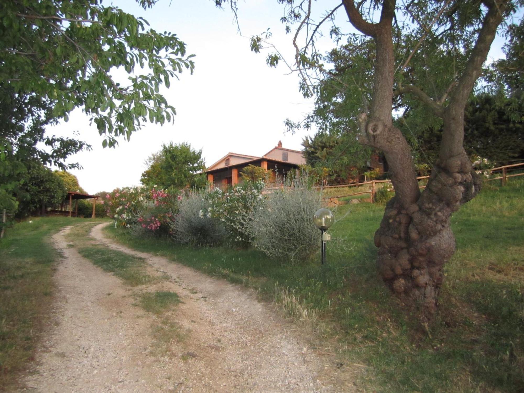 Agriturismo Casa Fibbianello Semproniano Zewnętrze zdjęcie
