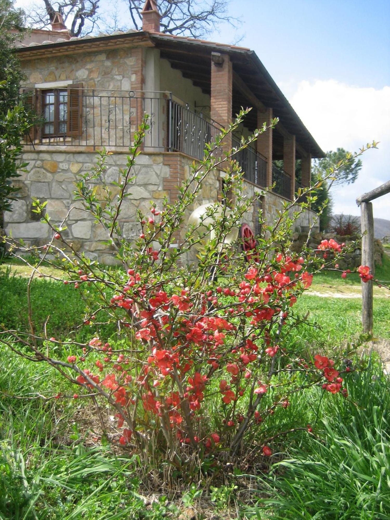 Agriturismo Casa Fibbianello Semproniano Zewnętrze zdjęcie