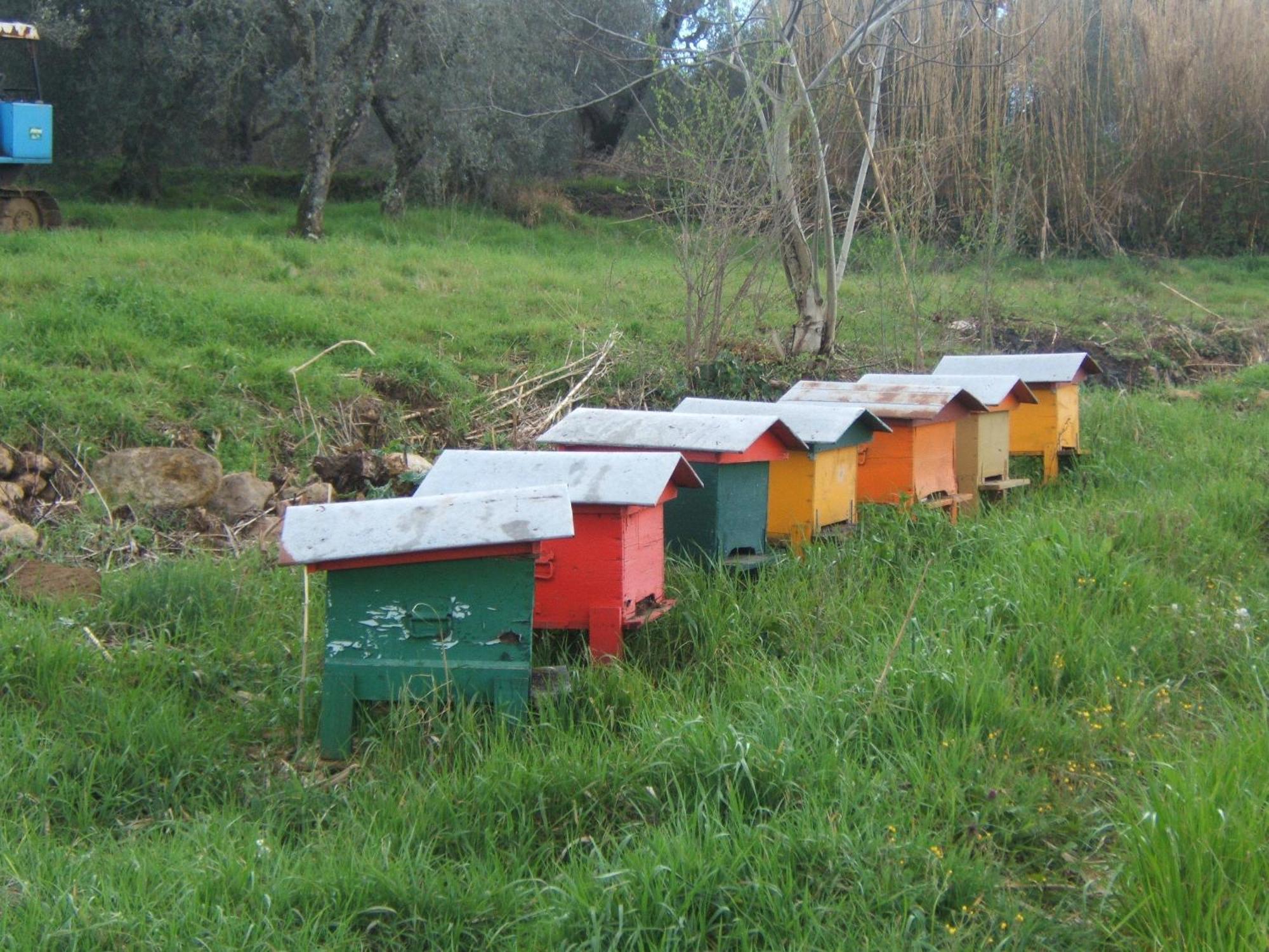 Agriturismo Casa Fibbianello Semproniano Zewnętrze zdjęcie