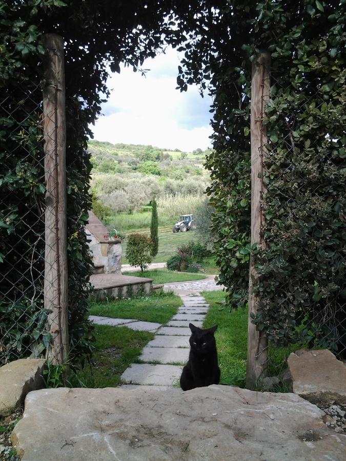 Agriturismo Casa Fibbianello Semproniano Zewnętrze zdjęcie